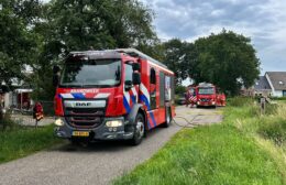 Brandweer bevrijdt lam uit mestkelder