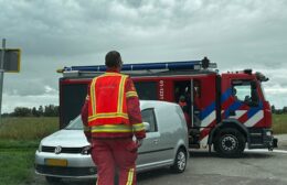 Brandweer in actie voor dier in problemen