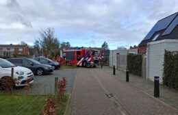 Brandweer bevrijdt meeuw in Aduard