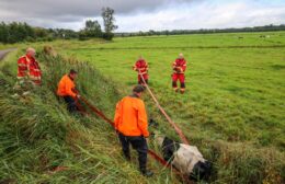 Brandweer Leek opgepiept voor dier te water