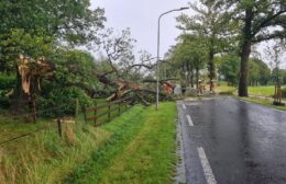 Asserstraat (N373) tijdelijk afgesloten door omgewaaide boom Video