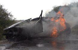 Auto brand uit in natuurgebied Video